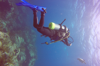 Scuba diving in St Maarten