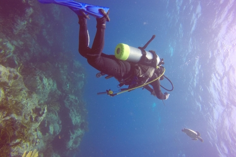 Discover Scuba Diving à Saint-MartinOption standard