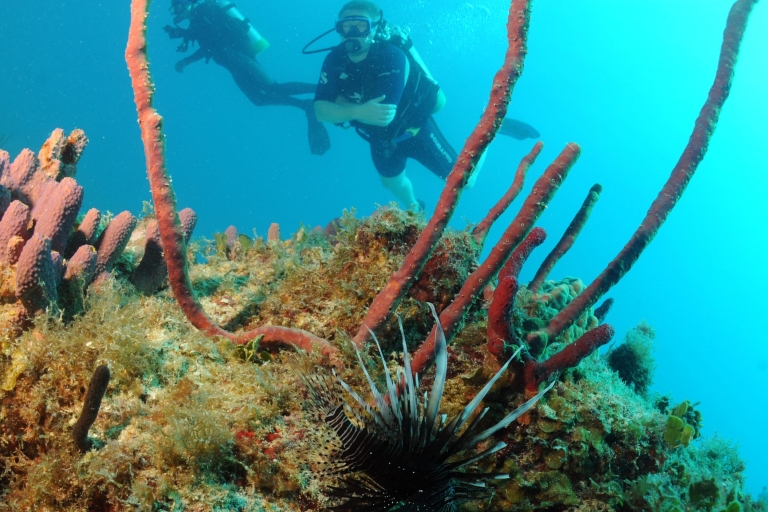 Discover Scuba Diving on St. Maarten Standard Option