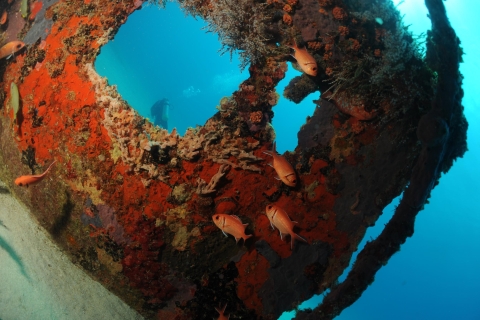 Discover Scuba Diving à Saint-MartinOption standard