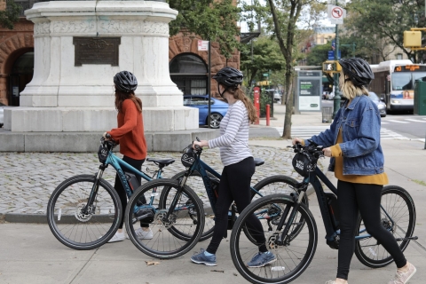 Washington DC: E-Bike Rental 4-Hour Rental