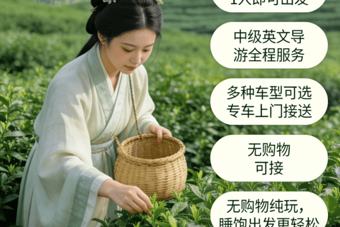 Hangzhou: Private Day Trip with Tea Picking & Hanfu … Solely as a separate unit