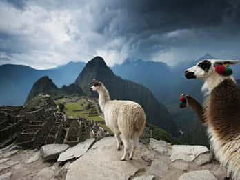 Von Cusco: Machu Picchu Ganztägige Privattour Von Cusco: Machu Picchu Ganztägige Privattour