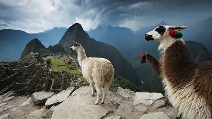 desde cusco tour privado de día completo a machu picchu