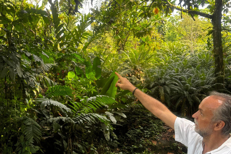 Tapachula: Argovia Coffee, Flowers, and Legacy Tour