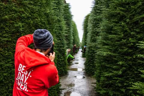punta arenas 4hour smallgroup food and sightseeing tour