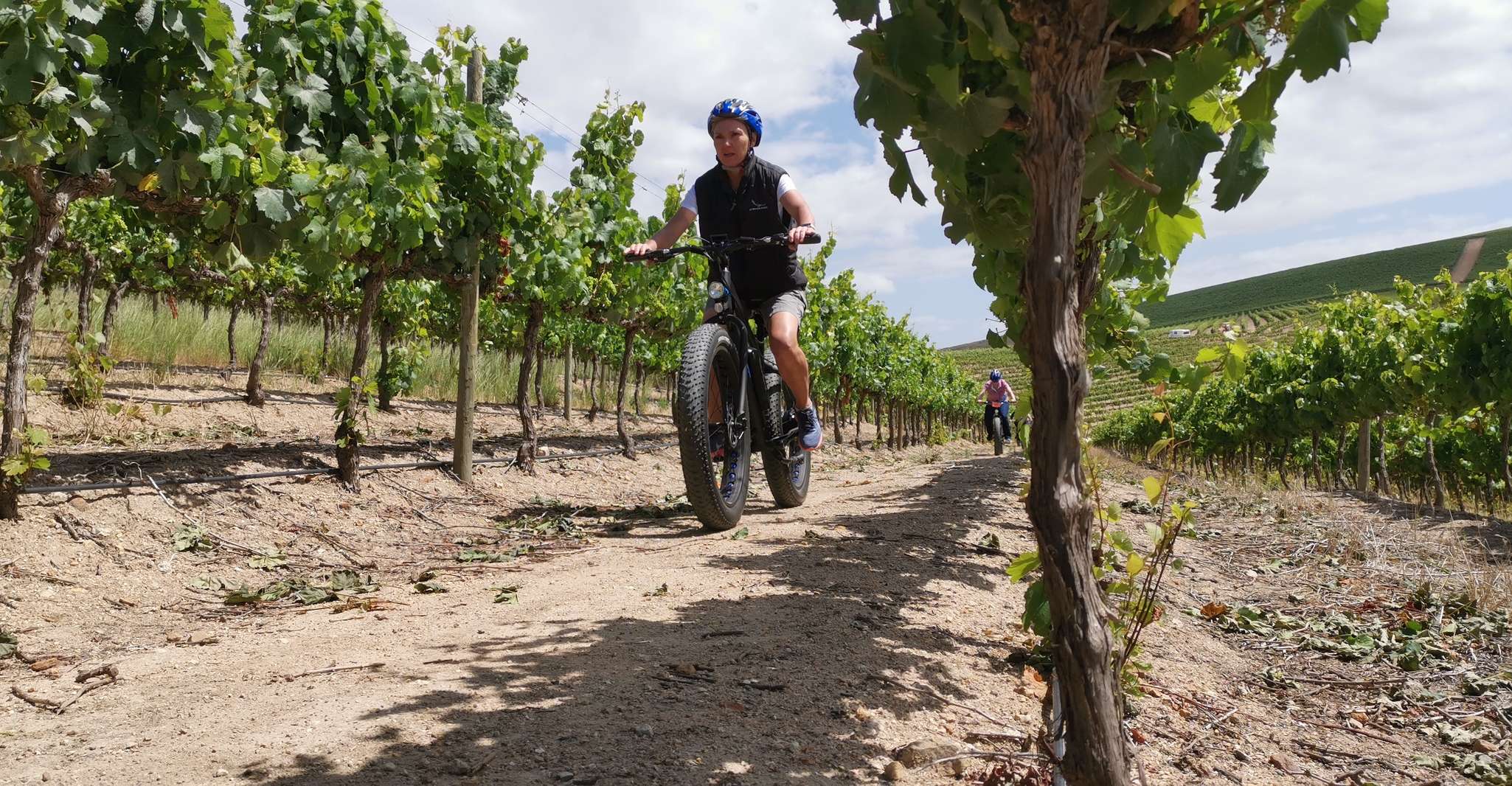From Cape Town, Half-Day Winelands E-Bike Tour - Housity