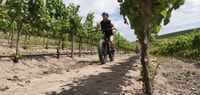 Von Kapstadt, halbtägige Winelands E-Bike Tour - Housity