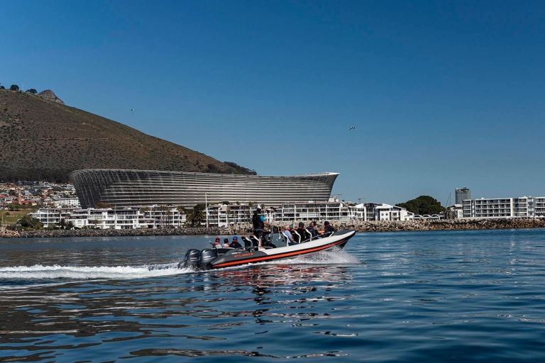 Kapstadt: Meereswelt-Bootsfahrt und Cape Point TourTour auf Englisch/Französisch/Deutsch