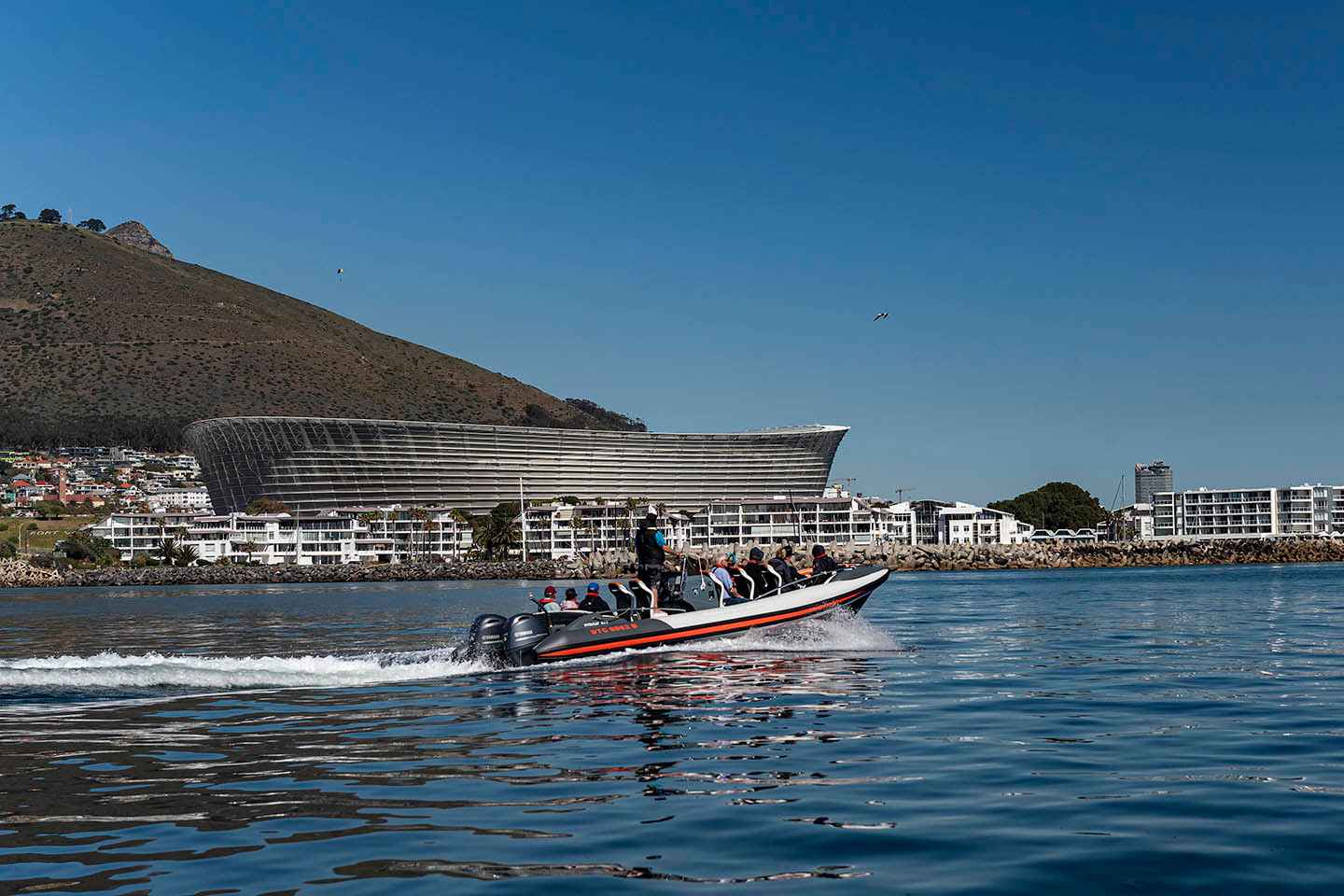 Cape Town: Guided Marine Wildlife Cruise and Cape Point Tour - Cape Town: Guided Marine Wildlife Cruise and Cape Point Tour