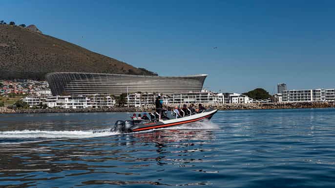 cape town guided marine wildlife cruise and cape point tour
