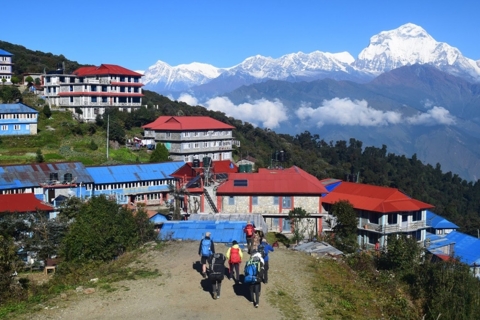 Pokhara : randonnée en piscine privée avec hébergement et repas
