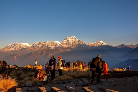 Pokhara: caminata por la colina con piscina privada con alojamiento y comidas