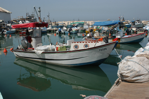 Tel Aviv: Guided Two-World-Heritage-Sites Tour