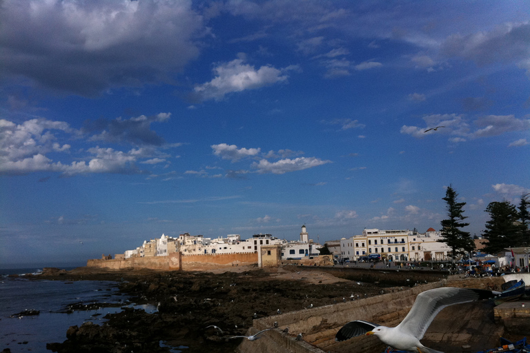 From Marrakesh: Essaouira Full-Day Excursion Excursion with Private Transporation