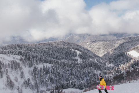 Tbilisi: Borjomi & Bakuriani Ski Resort Alpine Coaster Tour