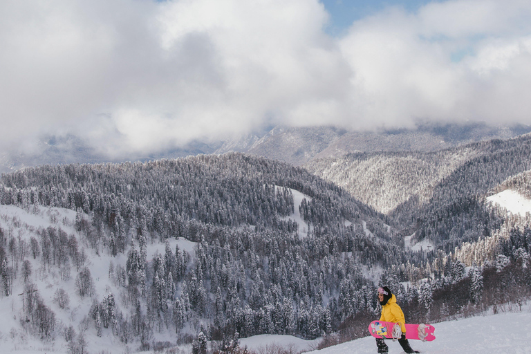 Tbilisi: Borjomi & Bakuriani Ski Resort Alpine Coaster Tour