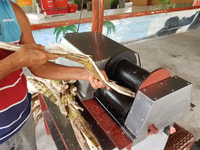 Puerto Limon, City Highlights en Cahuita National Park Tour - Housity
