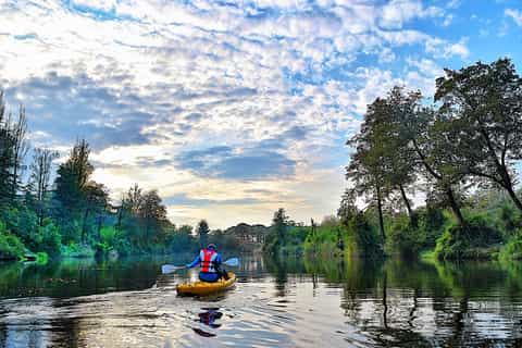 From Batumi: Cycling And Kayaking in Kolkheti National Park