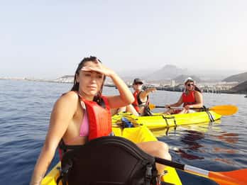Teneriffa: Kajak-Safari mit Delfinen, Schildkröten und mehr Teneriffa: Kajak-Safari mit Delfinen, Schildkröten und mehr