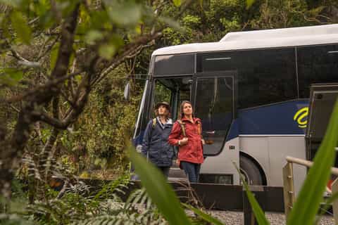 Manapouri: Fiordland National Park Doubtful Sound Cruise