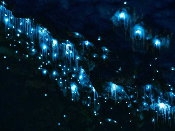 te anau glowworm caves tour