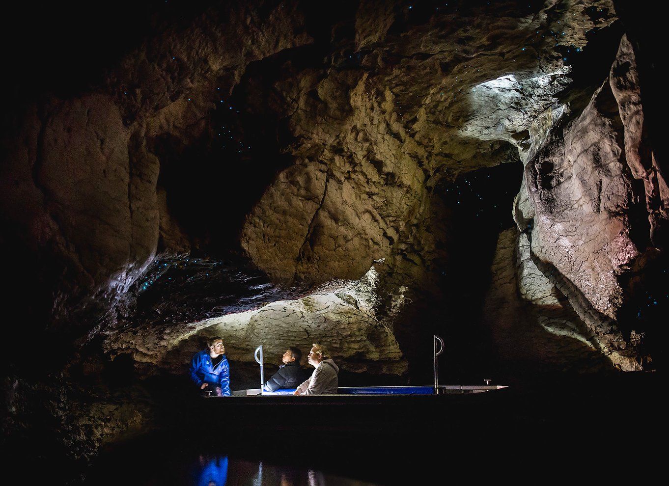 Te Anau: Glowworm Caves Guidet tur