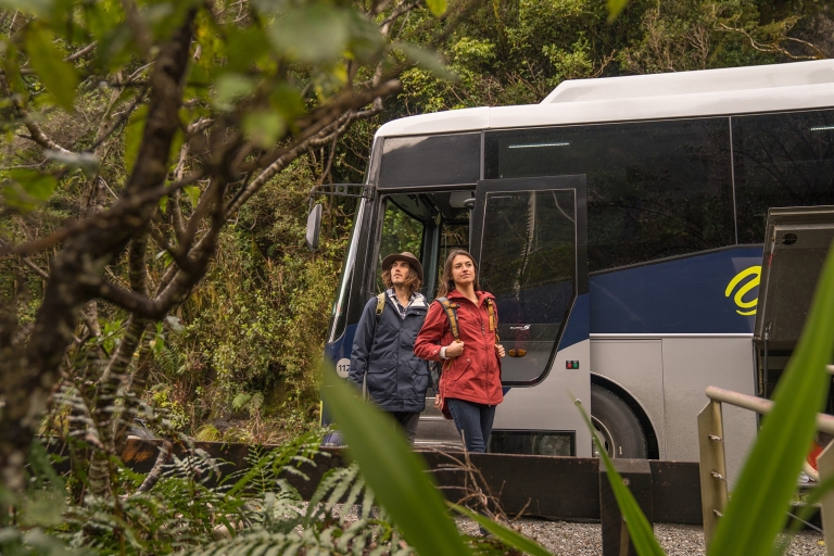Von Te Anau aus: Premium Doubtful Sound Coach & KreuzfahrtAb Te Anau: Doubtful Sound Premium-Tour per Bus & Boot
