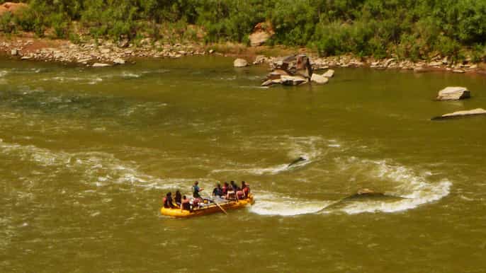 full day colorado rafting tour from moab