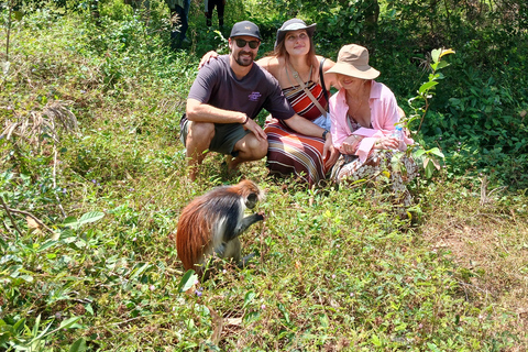 ZANZIBAR: Tur i Jozani-skogen med en proffsguidePRIVAT TUR INKLUDERAR TRANSFER