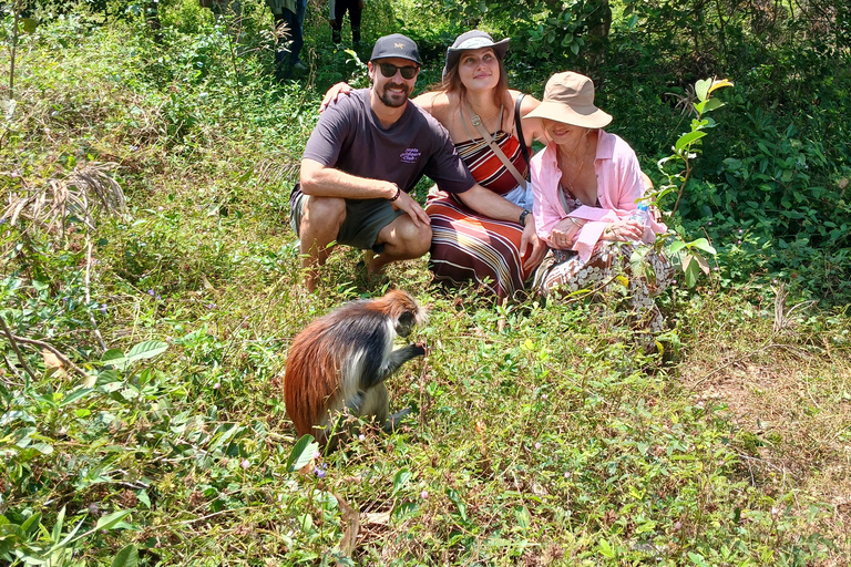 ZANZIBAR: Tur i Jozani-skogen med en proffsguidePRIVAT TUR INKLUDERAR TRANSFER