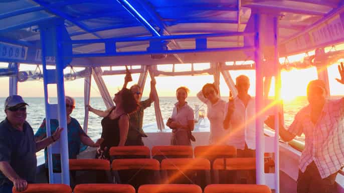 adelaide sunset safari