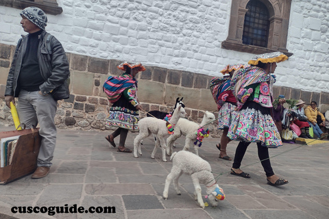 Historical walking tour Cusco: Best sites of Cusco downtown.