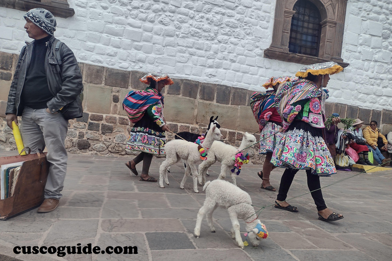 Free Rundgang Cusco, Stadtführung Cusco, San Blas, Panoramablick