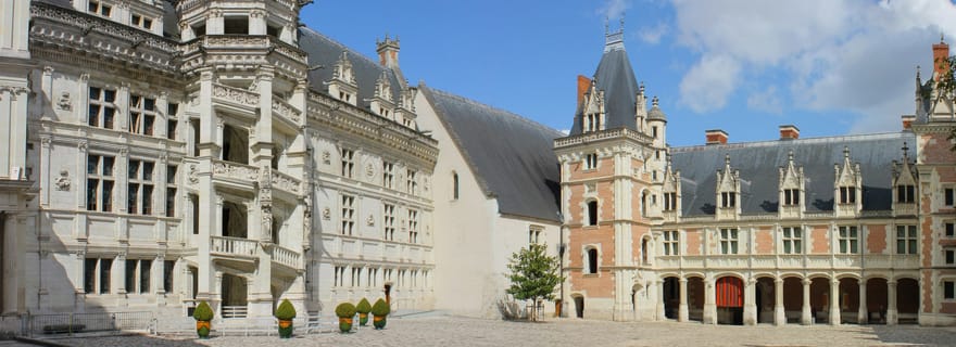 Tours/Amboise : Excursion privée d'une journée à Chambord, Blois et Cheverny