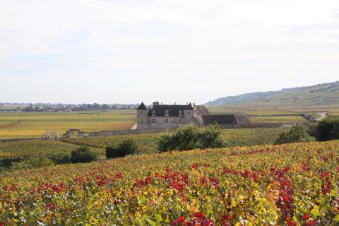 Dégustation de 10 vins Grand Cru de Bourgogne depuis Beaune