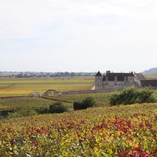 From Beaune: Burgundy 10 Wines Grand Cru Tasting Day Trip