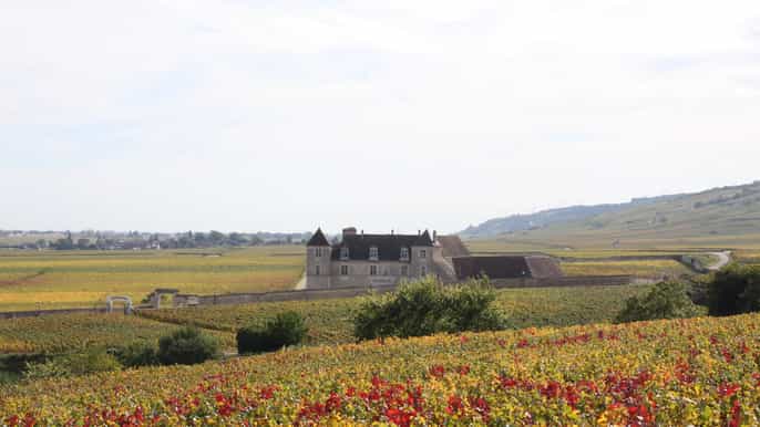 excursion en bourgogne avec dégustations depuis beaune