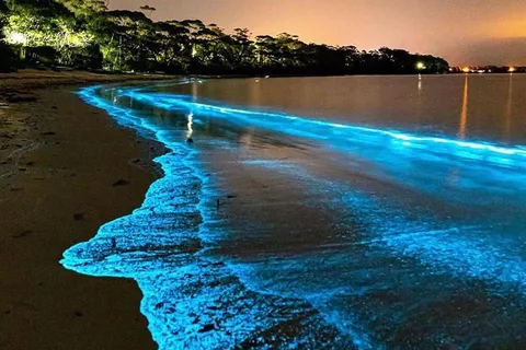 Cat Ba Island: Lan Ha Bay Bioluminescence Plankton Kayaking