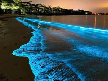 Cat Ba Island: Lan Ha Bay Bioluminescence Plankton Kayaking