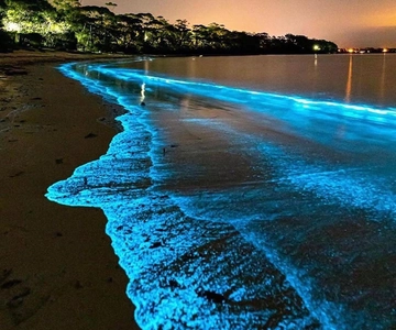 Cat Ba Island: Lan Ha Bay Bioluminescence Plankton Kayaking