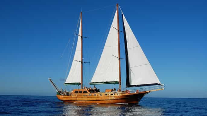 gran canaria daytime or sunset cruise on a turkish gulet