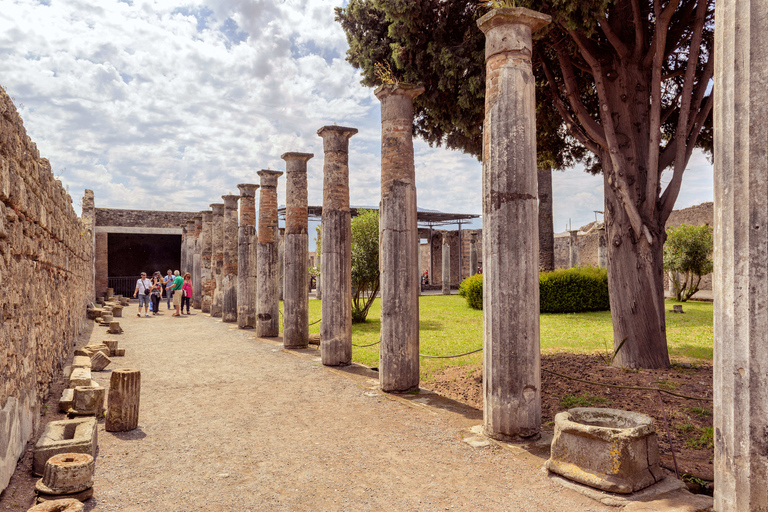 Da Napoli: Trasferimento di sola andata a Sorrento con tour di PompeiTrasferimento da Napoli a Sorrento con Tour Guidato a Pompei