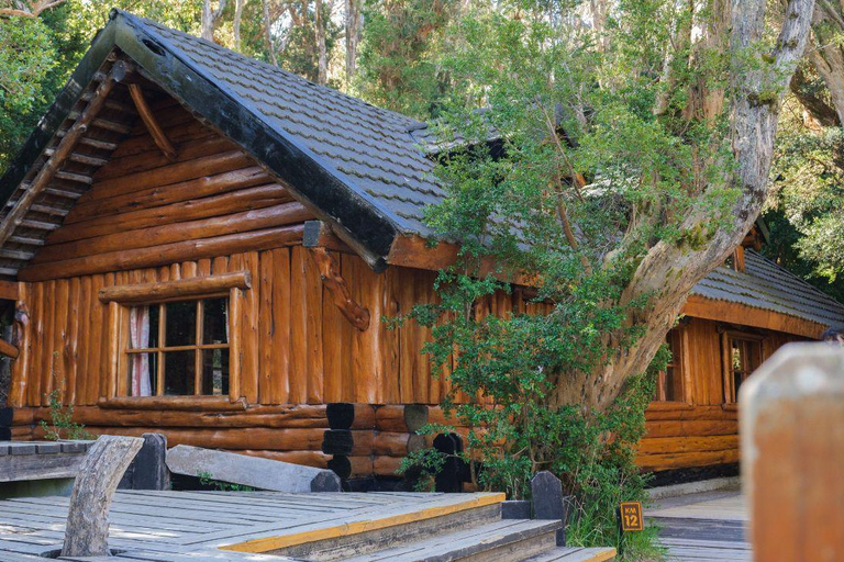 Bariloche: Boat Tour to Victoria Island and Arrayanes Forest Tour Without Transfer