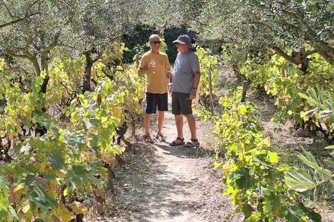 Tour privato delle cascate di Krka da Spalato con degustazione di vini e pranzoOpzione standard