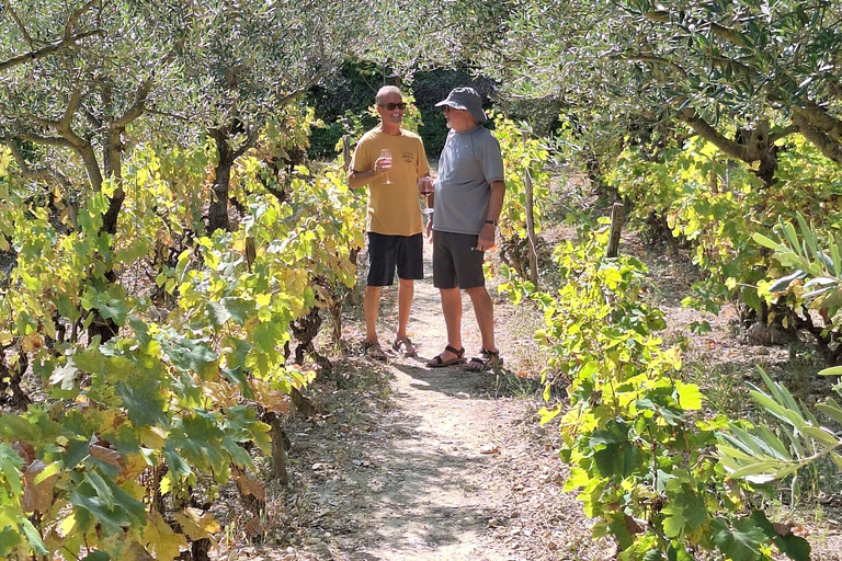 Tour privato delle cascate di Krka da Spalato con degustazione di vini e pranzoOpzione standard