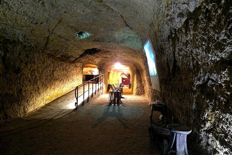 Loire Valley Wine Tour from Paris: 2 Wineries & 10 Tastings Premium Option