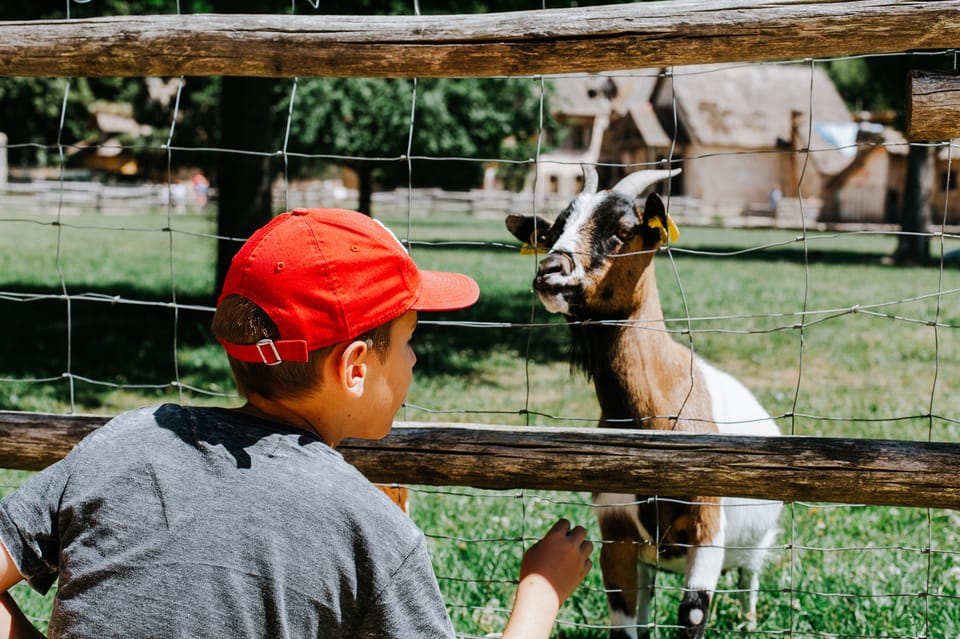 From Paris Bike Tour to Versailles with Timed Palace Entry GetYourGuide