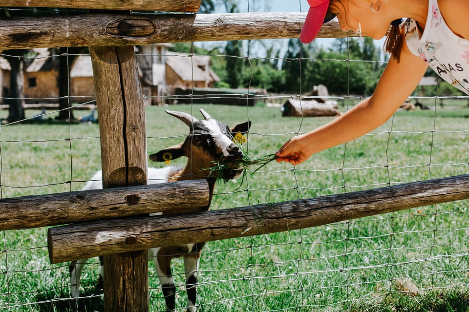 From Paris Bike Tour to Versailles with Timed Palace Entry GetYourGuide