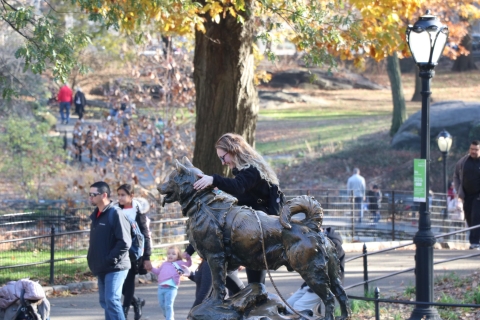 New York: visite en pédalo à travers Central Park